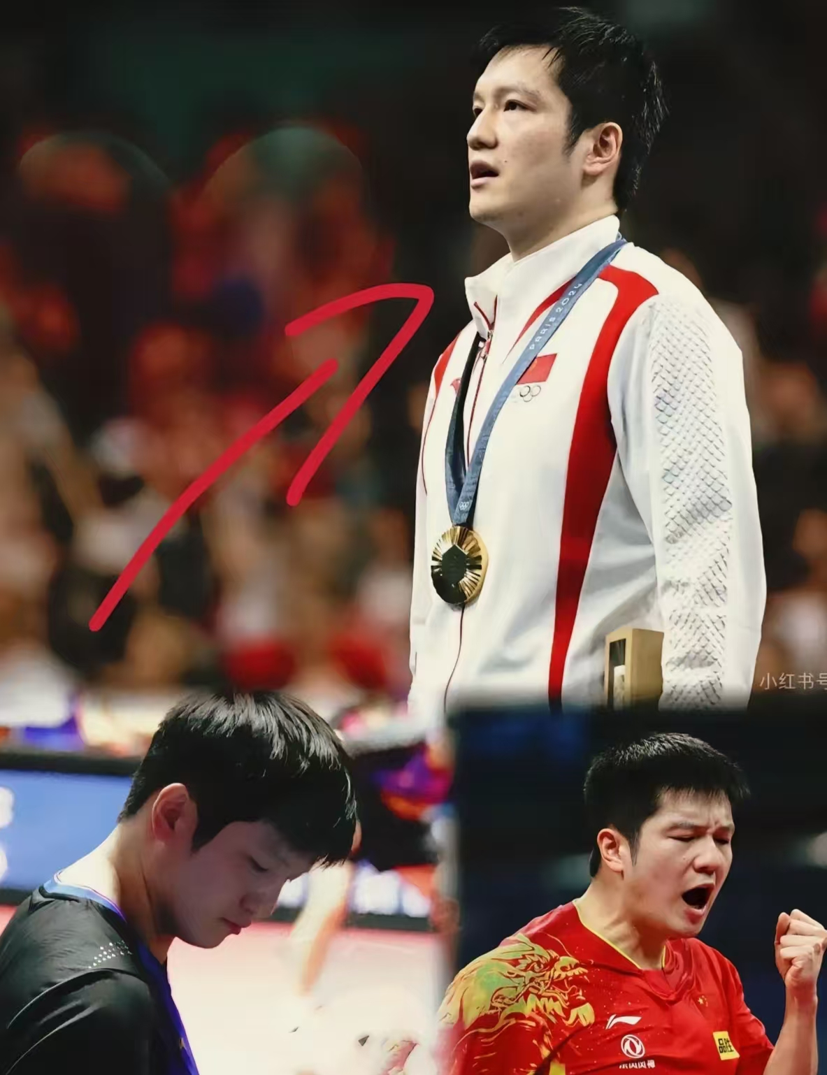 波兰队完胜瑞典队，樊振东刷新纪录