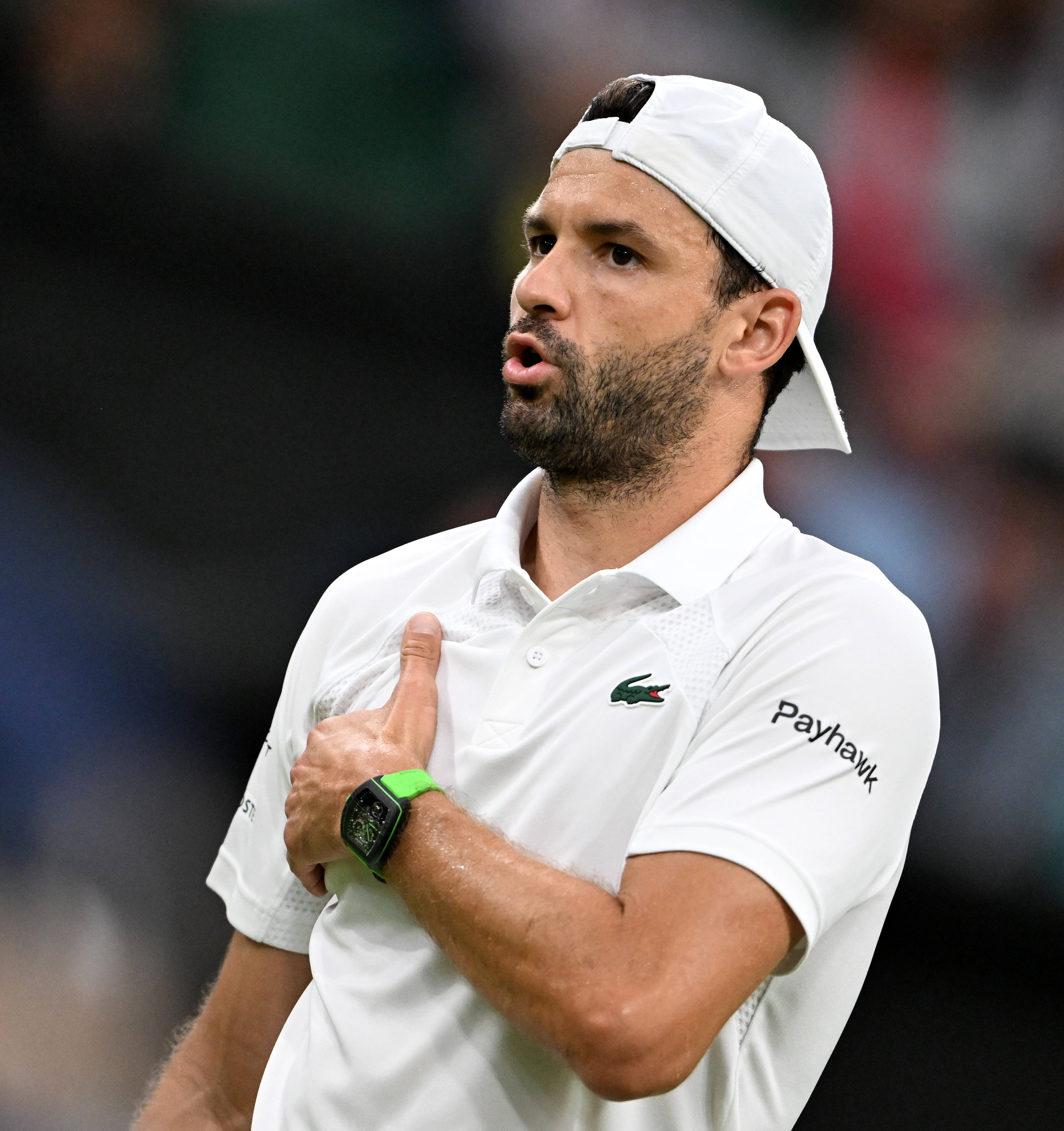 美网鏖战温网，辛纳统治全场